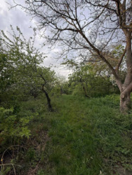 Будинок капітальний, с. Бишів, велика ділянка, сад.. фото 2 Будинок капітальний, с. Бишів, велика ділянка, сад.. фото 2