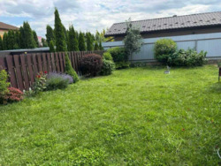 ������ �������� ���������� ��������� 155000 ���� 8