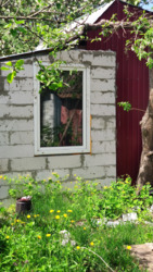 Продам дачу в садовому массиві Глеваха- 3, недалеко від лісу фото 2 Продам дачу в садовому массиві Глеваха- 3, недалеко від лісу фото 2