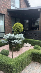 ������ ������� �. �������������� 195000 ���� 2