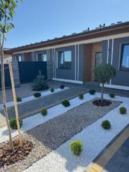 ��������� ������� ����, �������� ���� 1