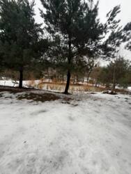 Продається будинок наливайка, Зимна Вода, Львів, Львівська фото 2 Продається будинок наливайка, Зимна Вода, Львів, Львівська фото 2