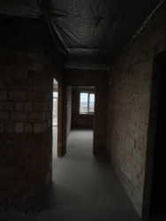   ,   8