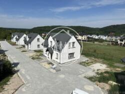 ��������� ������� �����, ����������, �������� ���� 1