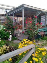 ̳��-����� ��� ���� ���� 15