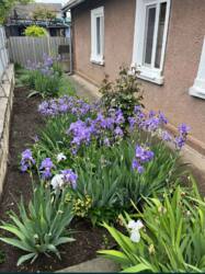 Будинок з газовим опаленням фото 1 Будинок з газовим опаленням фото 1