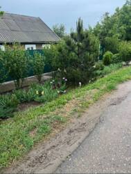 Будинок з газовим опаленням фото 9 Будинок з газовим опаленням фото 9