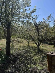 ������� � �������� ���� 7