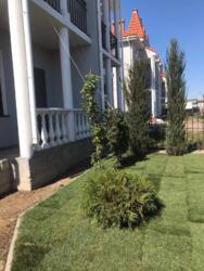 Будинок-коттедж фото 2 Будинок-коттедж фото 2