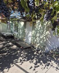 �������. ������������ ���� 8