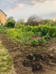 ������ �����, ����������� ��� ���� 6