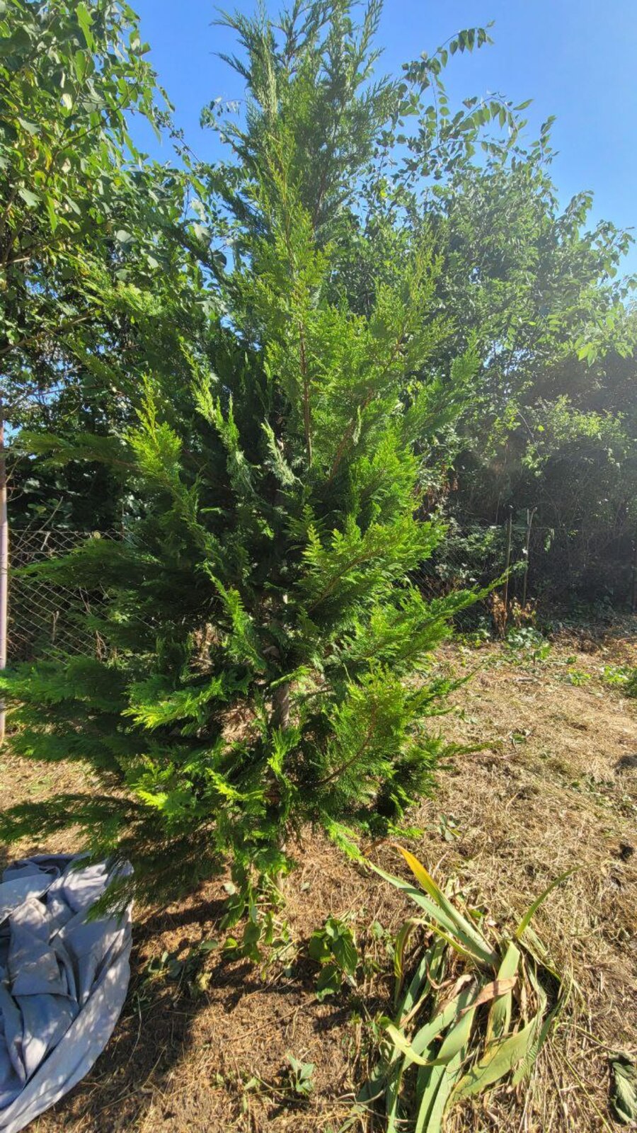   13   1