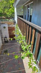 36000$      2 , ,   !  9