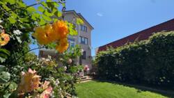 350000$ Продажа дома 330 м² • 12 ст. Большого Фонтана • У моря фото 1 350000$ Продажа дома 330 м² • 12 ст. Большого Фонтана • У моря фото 1