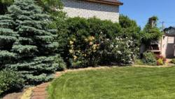 350000$ Продажа дома 330 м² • 12 ст. Большого Фонтана • У моря фото 5 350000$ Продажа дома 330 м² • 12 ст. Большого Фонтана • У моря фото 5