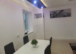 ��������� ������� �����, ³�����, ³�������, ����� ���� 8