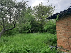 ��������� ������� �������, ³�����, ³�������, ����� ���� 2