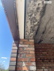 ��������� ������� ³������ ������, ³��������, ³������� ���� 5