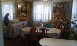 Продається будинок Дм. Михайловського, 101, Вінниця, Вінницька, Корея фото 3 Продається будинок Дм. Михайловського, 101, Вінниця, Вінницька, Корея фото 3