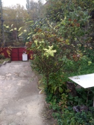 ��������� ������� �����������, 126, ³�����, ³�������, ������������� ����� ���� 7