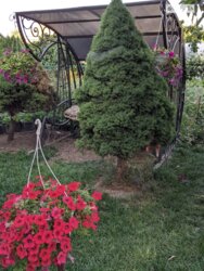 ��������� ������� ��������, ³�����, ³������� ���� 13