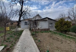 ��������� ������� ����������, ³�����, ³�������, ������ ������� ���� 16