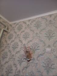 ��������� ������� ������������, 7, ³�����, ³�������, ������ ���� 8