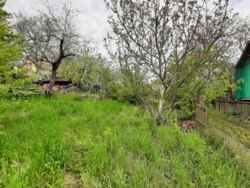 ��������� ������� ��������, ³�����, ³�������, ����� ���� 19