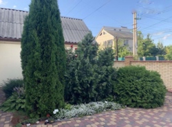 ��������� ������� ���� ������, ³�����, ³�������, ����� ���� ���� 6