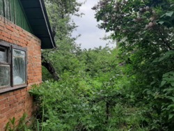 ��������� ������� �������, ³�����, ³�������, ����� ���� 3