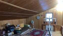 ��������� ������� �������� ���������, 17, ³�����, ³�������, ����'���� ���� 19