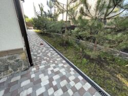 ��������� ������� ������, ³�����, ³�������, ������� ���� ���� 6