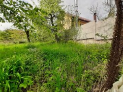 ��������� ������� ��������, ³�����, ³�������, ����� ���� 9