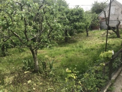 ��������� ������� ��������, 48, ³�����, ³�������, ����� ���� ���� 4