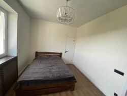 ��������� ������� �����, ��������, ³��������, ³������� ���� 11