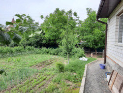 ��������� ������� ���������, ³�����, ³�������, �������� ���� 9