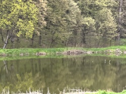 ��������� ������� ����. �������, ��������, ³��������, ³������� ���� 7