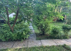 ��������� ������� ���� ������, ³�����, ³�������, ����� ���� ���� 15