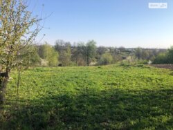 ��������� ������� ��������, ³��������, ³������� ���� 6