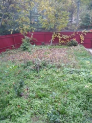 ��������� ������� �����������, 126, ³�����, ³�������, ������������� ����� ���� 12