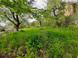 ��������� ������� ��������, ³�����, ³�������, ����� ���� 11