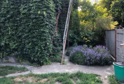 Продається будинок Замостянська (50-річчя Перемоги), Вінниця, Вінницька, Ближнє Замостя фото 2 Продається будинок Замостянська (50-річчя Перемоги), Вінниця, Вінницька, Ближнє Замостя фото 2