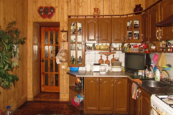 ��������� ������� ����������, 20, ³�����, ³�������, ������������� ����� ���� 12