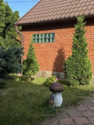 ��������� ������� ����������, ³������ ������, ³��������, ³������� ���� 7