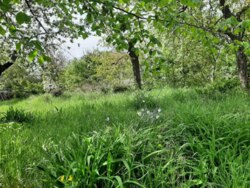 ��������� ������� ��������, ³�����, ³�������, ����� ���� 10