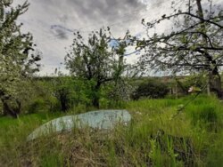 ��������� ������� ��������, ³�����, ³�������, ����� ���� 5