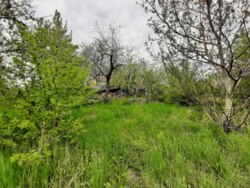 ��������� ������� ��������, ³�����, ³�������, ����� ���� 6