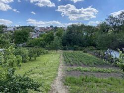 ��������� ������� �������� ������������, 26, ³�����, ³�������, �������� ���� 1