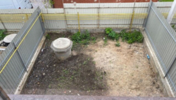 ��������� ������� ����������, ³������ ������, ³��������, ³������� ���� 4