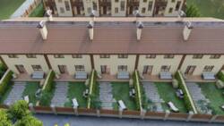 ��������� ������� �������� ������, ����������, ³��������, ³������� ���� 4